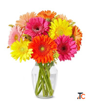 Send Gerberas Gifts and Petals Elegant Floral Box