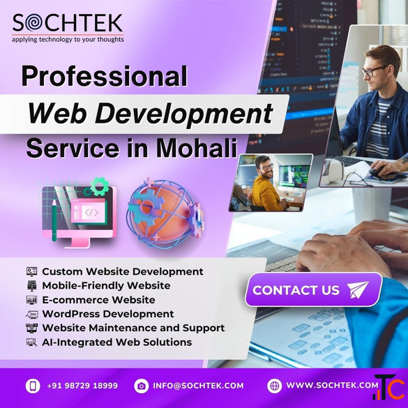 Professional Web Development Services in Mohali