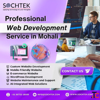 Professional Web Development Services in Mohali