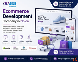 Ecommerce Development Company in Noida