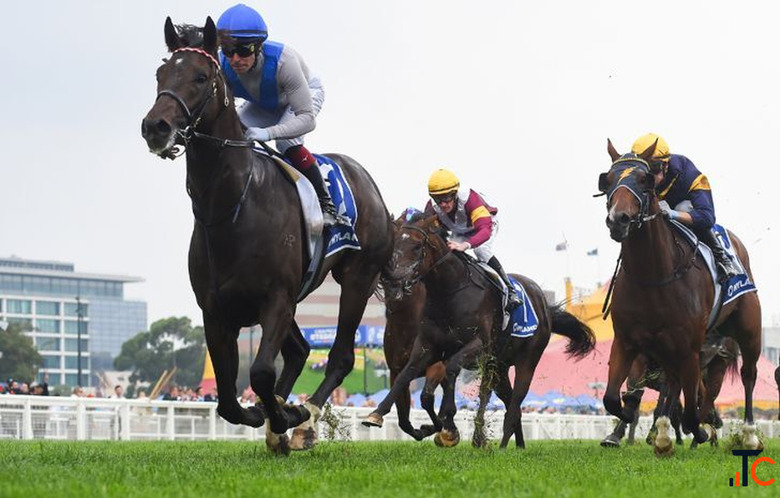 Professional Racing Tips Analysis