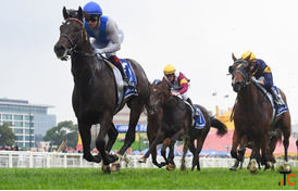 Professional Racing Tips Analysis