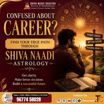 Career Business Naadi Astrology Consultation in India