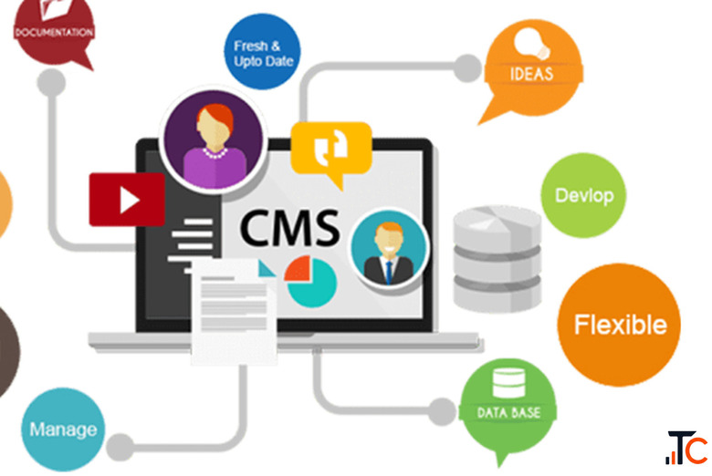 cms word press website design