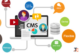 cms word press website design