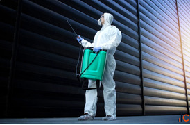 Pest Control Andheri West - Professional Termite Cockroach Treatment