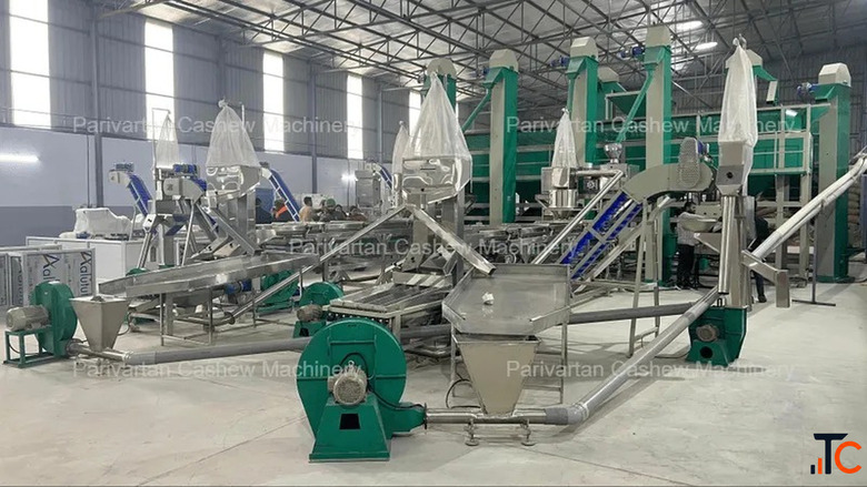 What Is Cashew Processing Complete Guide from Raw Nuts to Premium Kernels