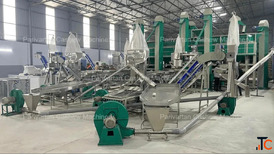 What Is Cashew Processing Complete Guide from Raw Nuts to Premium Kernels