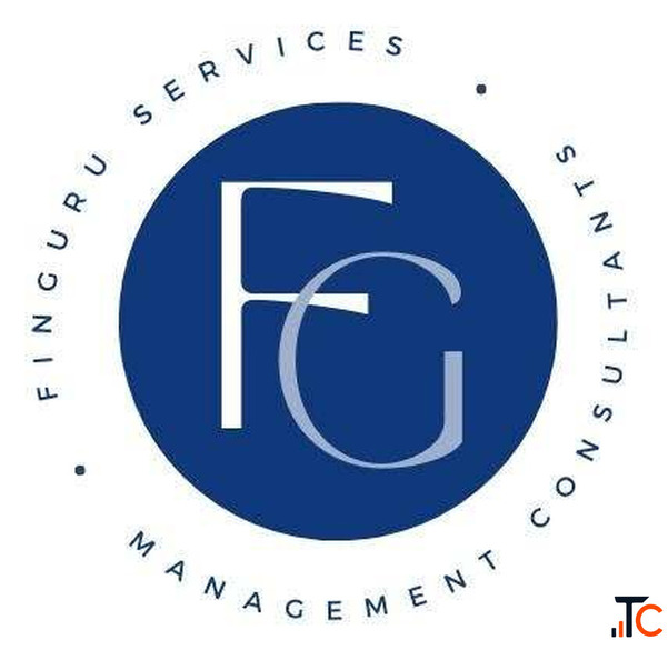 Virtual CFO Services India FinGuru Services India