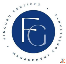 Virtual CFO Services India FinGuru Services India