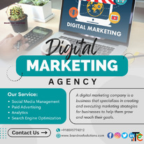 Brand Roof Solutions Delhi's Top Digital Marketing Company