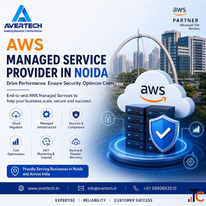 aws managed service provider in noida