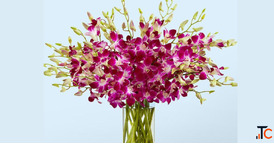 Flower Delivery in Thane Fresh Online Flower Delivery by Purplensnow
