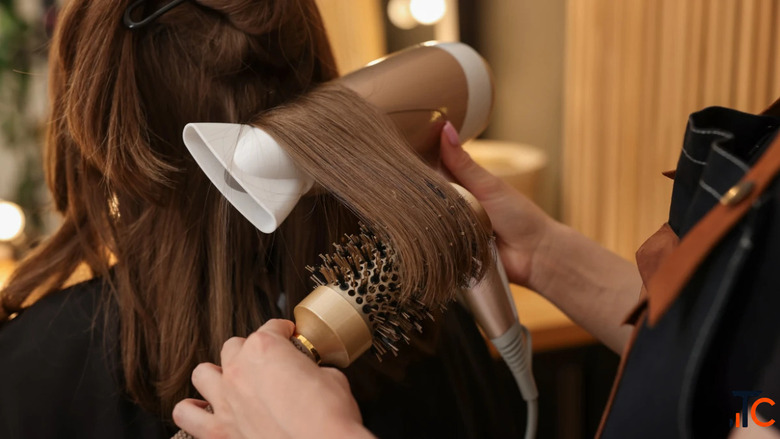 How to Become a Professional Hairstylist Courses Fees Career Guide