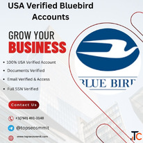 Bluebird by Amex Verified Accounts 100 Ready