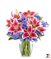 Lily Delivery Gifts and Petals Petal Perfection