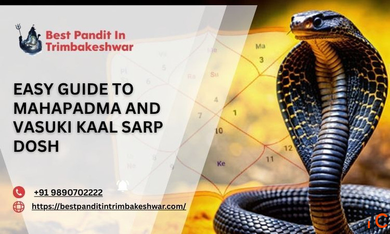 Easy Guide To Mahapadma And Vasuki Kaal Sarp Dosh