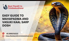 Easy Guide To Mahapadma And Vasuki Kaal Sarp Dosh