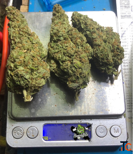 Quality Cannabis for Adult Consumers