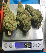 Quality Cannabis for Adult Consumers