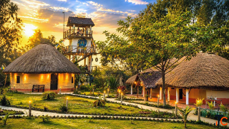 Sundarban Private Tour from Kolkata Tour De Sundarbans