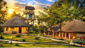 Sundarban Private Tour from Kolkata Tour De Sundarbans