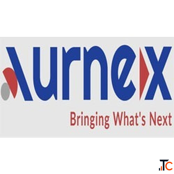 Expert Tax Filing Assistance
