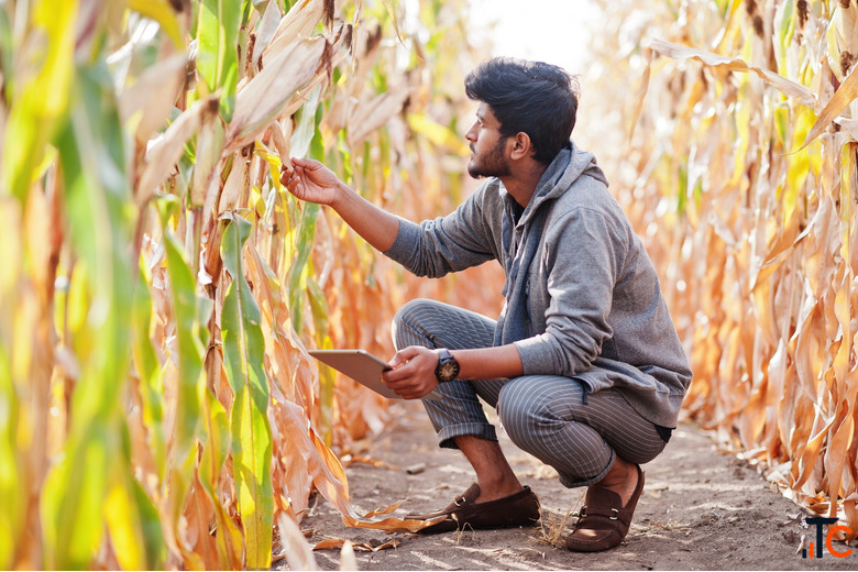 B.Sc. in Agriculture Course Details Eligibility Scope Career Opportunities