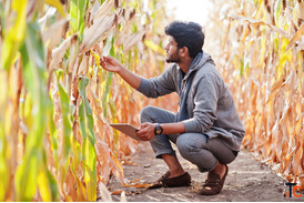 B.Sc. in Agriculture Course Details Eligibility Scope Career Opportunities