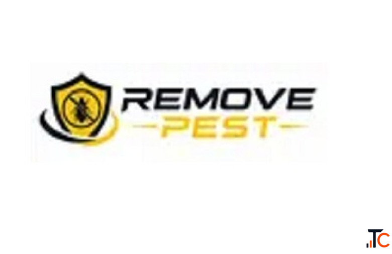 Pest Control Services In Airoli