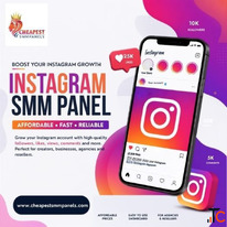 Instagram SMM Panel - Affordable Instagram Growth Services