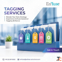 Elevate Your Data Strategy Experience EnFuse Solutions' Tagging Brilliance