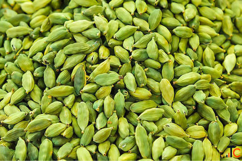 Connect with India's Best Cardamom Suppliers