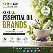 Best Essential Oils Companies Premium Wholesale Essential Oils