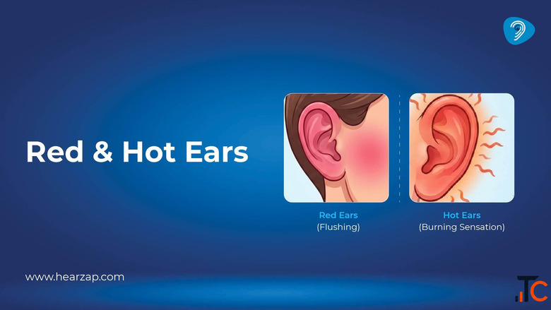 Red and Hot Ears Causes Symptoms Treatment Hearzap