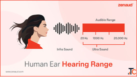 Human Ear Hearing Range - Zenaud