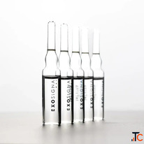 Exosignal Hair Advanced Synthetic Exosome Scalp Therapy