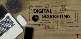 Digital Marketing Services Delhi NCR SEO PPC Branding - Ritz Media World