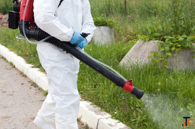 Fumigation For Mosquito Control