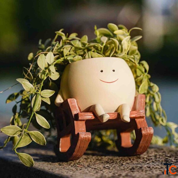 Buy Planters Pots Online in India Stylish Flower Pots for Home Garden