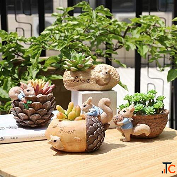 Buy Planters Pots Online in India Stylish Flower Pots for Home Garden