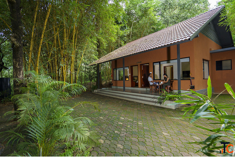 Best Resort in Wayanad Experience