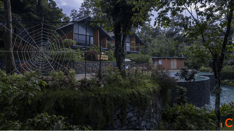Best Resort in Wayanad Experience