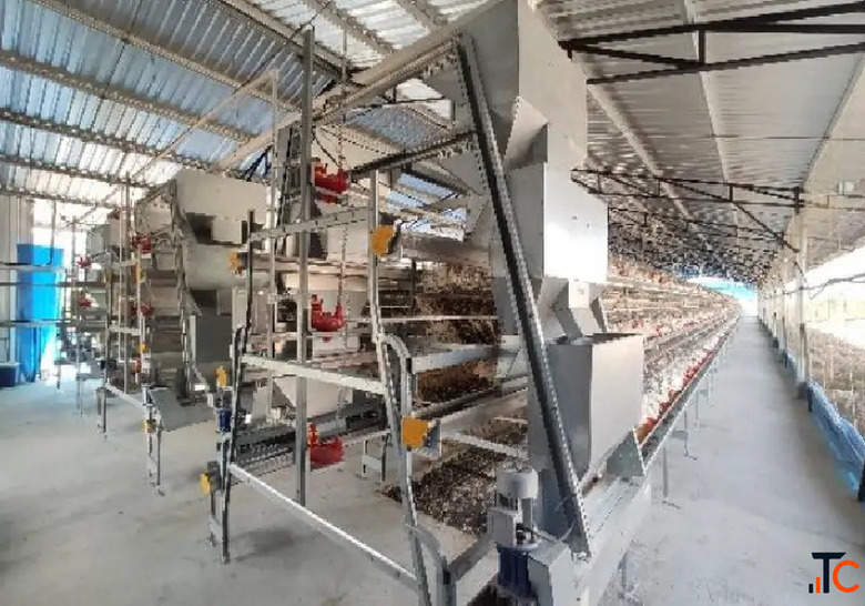 Layer Cage Manufacturer High-Quality Poultry Layer Cages Gartech