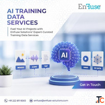 Fuel Your AI Projects with EnFuse Solutions' Expert-Curated Training Data Services