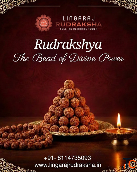 Best Rudraksha Shop in Kolkata