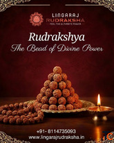 Best Rudraksha Shop in Kolkata