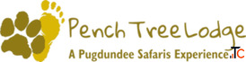 Pench Tree Lodge - Luxury Wildlife Resort Near Pench Tiger Reserve Best Jungle Stay