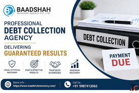 Professional Debt Collection Agency Delivering Guaranteed Results