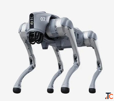 Book Dog Robot on Rent for Events Exhibitions and Brand Promotions